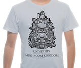 University of Mushroom Kingdom