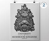 University of Mushroom Kingdom